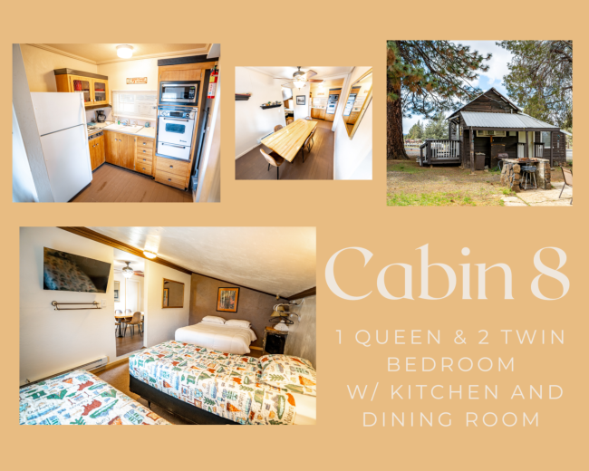 cabin #8