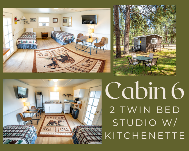 cabin #6