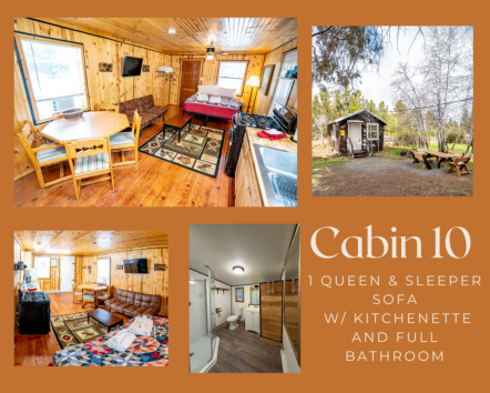 cabin #10