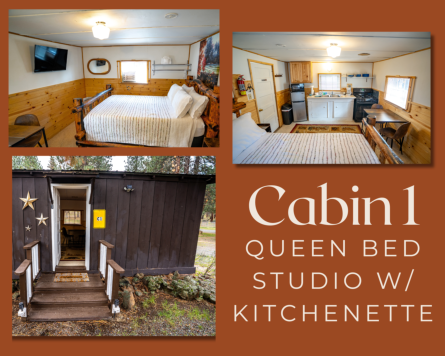 cabin #1