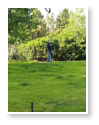 horseshoes